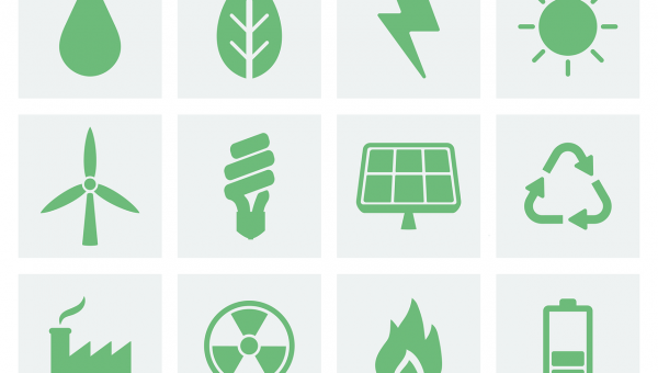 Зеленая» экономика – особая модель экономики.