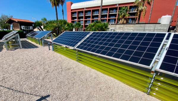 Альговольтаика: в Италии совместили солнечную энергетику с выращиванием водорослей