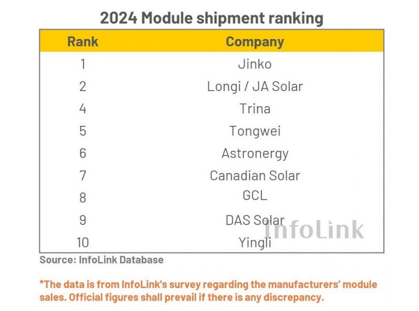 Module shipment ranking 2024